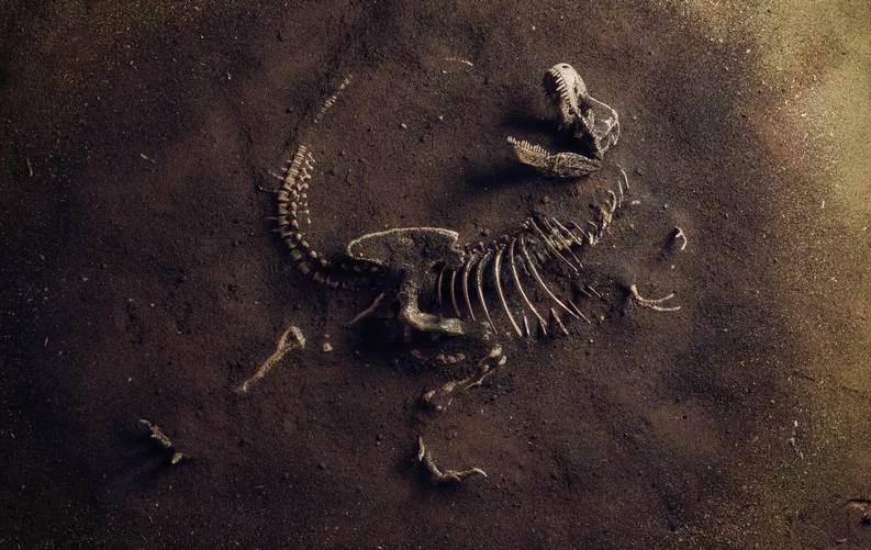  Encontraron un dinosaurio más poderoso y temible que el T-Rex: ¡se comía a los tiranosaurios! 
