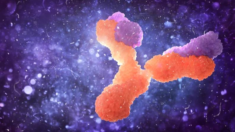  ¿El virus Nipah provocará la siguiente pandemia? Esto dicen los expertos 