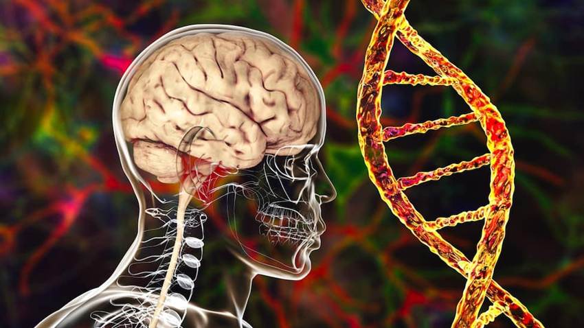 Demencia vascular: Esta es la segunda causa más común de deterioro cognitivo tras el alzhéimer