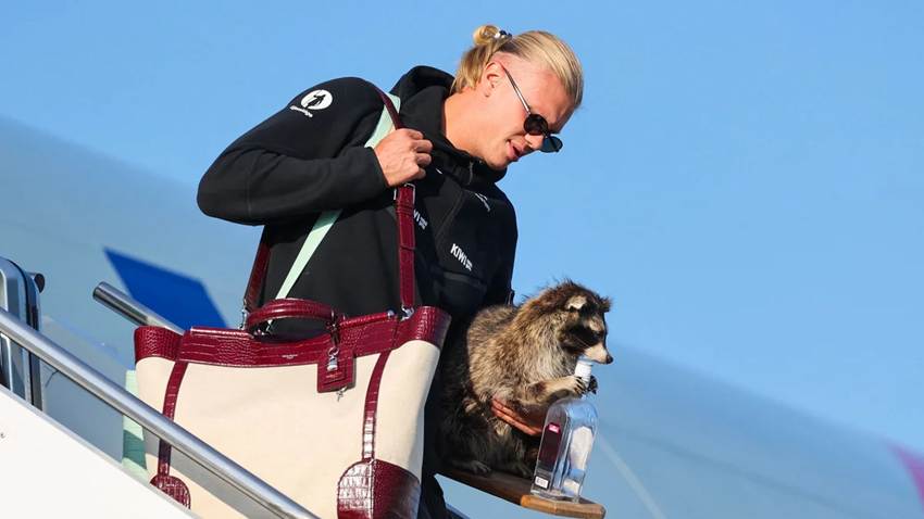 Erling Haaland regresa a Noruega con un curioso 'mapache': cuánto costó y dónde lo consiguió