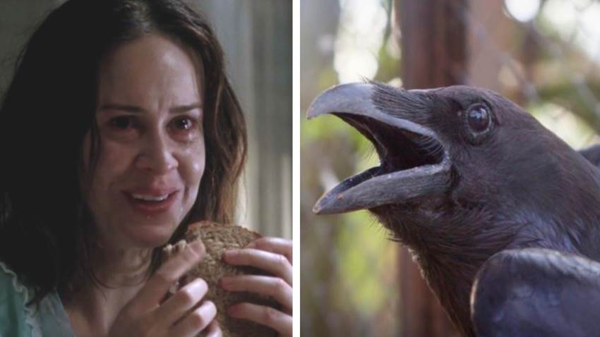 Cuervos al apio y otros 4 alimentos que eran normales hace unas décadas