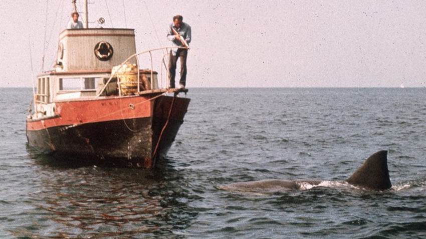 5 errores científicos de 'Tiburón': Steven Spielberg nos mintió
