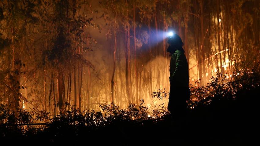 Los fallecidos por el megaincendio de Chile aumentan a 20 y los damnificados a más de 7.200