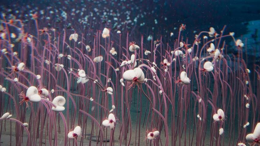 La vida se abre paso en las fosas marinas más profundas del planeta (y en formas diversas y complejas)
