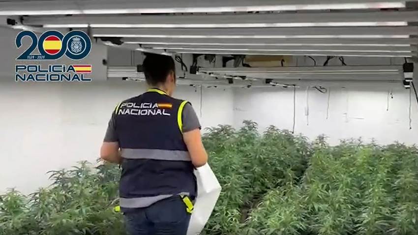 Golpe al narcotráfico en Málaga: marihuana entre palés de pienso animal y dinero escondido en el congelador