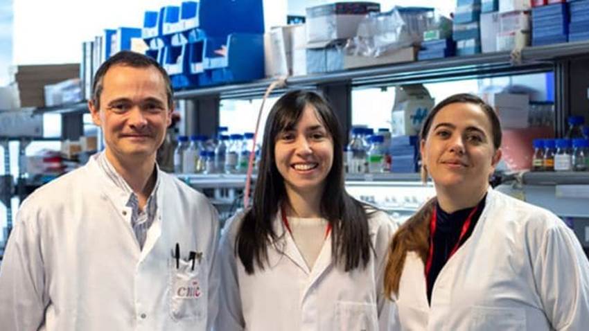 Adiponectina, la hormona que protege a las mujeres del cáncer de hígado