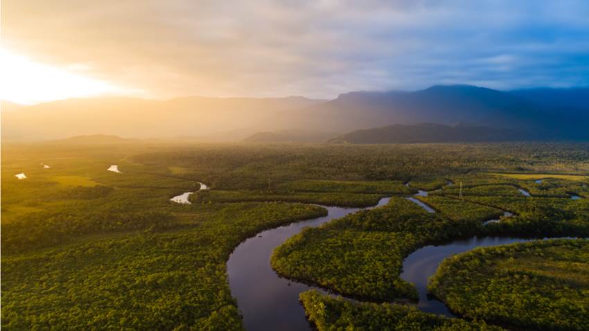 El Amazonas podría convertirse en una sabana para siempre: la ciencia tiene 3 terribles predicciones