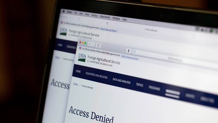 Agencias de EE. UU. borran páginas web para proteger a afganos