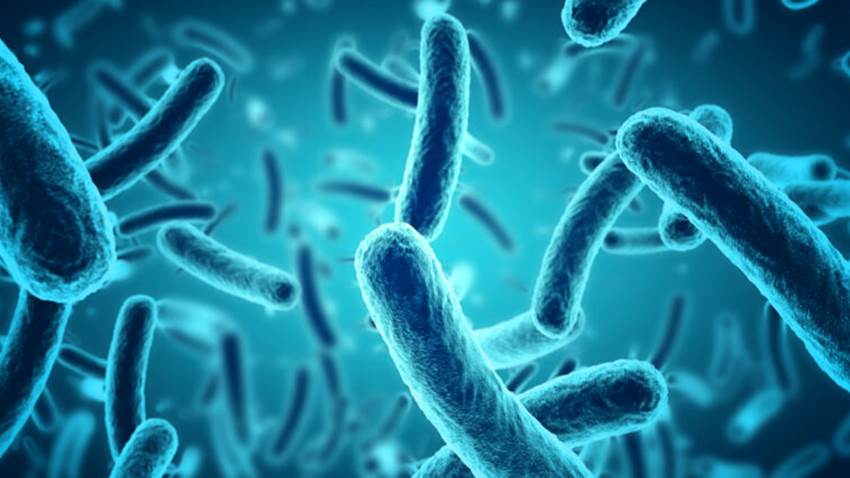 Innovadora terapia farmacológica que combate la resistencia antibiótica