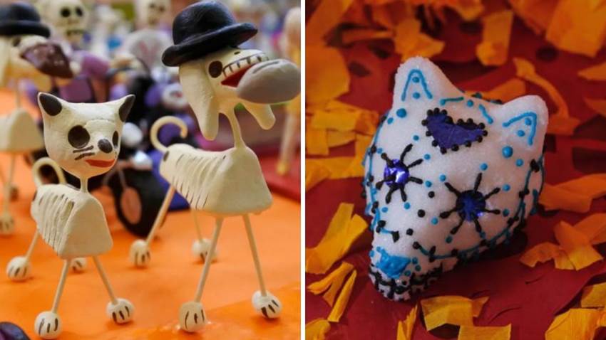 Tu mascota también merece estar en la ofrenda de Día de Muertos: ponle una calaverita