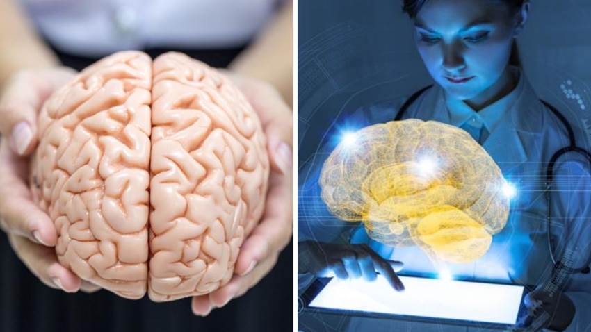 Gracias a una impresora 3D pronto podremos crear cerebros humanos: te explicamos cómo