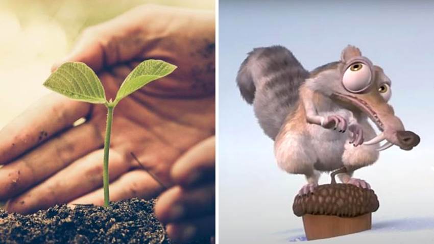 Científicos revivieron una planta de hace 32 mil años, existió en la era del hielo