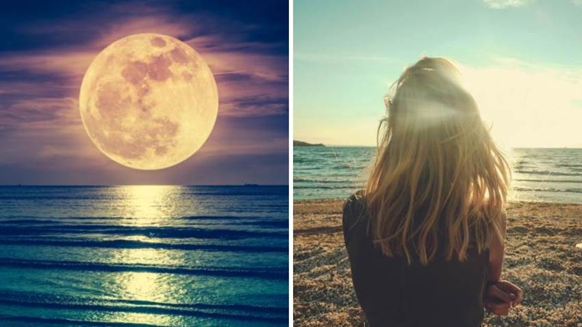 Todo lo que creías está mal: las olas no llegan a la costa, es al revés