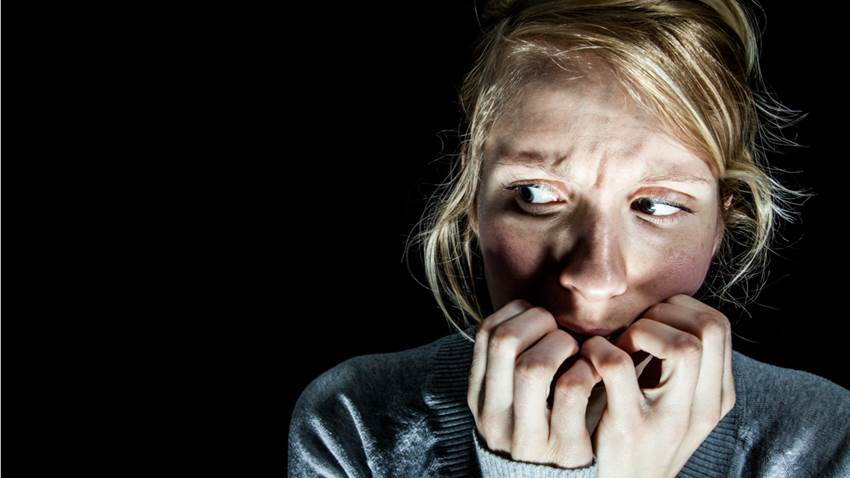 Una nueva especie de cucaracha gigante te dará pesadillas