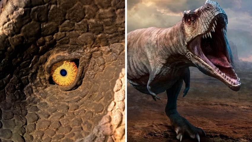 Encontraron un dinosaurio más poderoso y temible que el T-Rex: ¡se comía a los tiranosaurios!