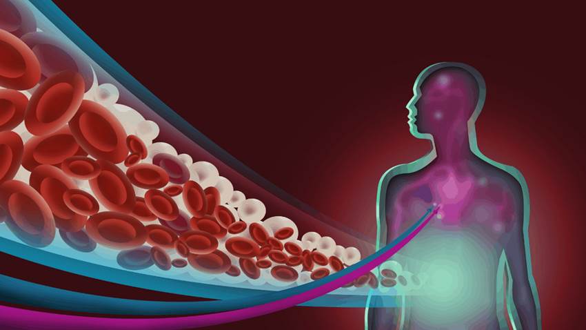 Niveles elevados en sangre de ácidos omega-3 incrementan la esperanza de vida en casi cinco años