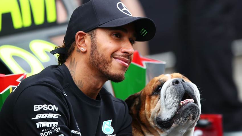 Lewis Hamilton cancela su participación en compromisos de la F1 por su perro Roscoe: ‘Está en coma’