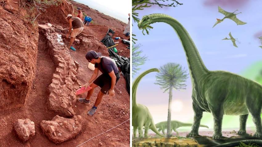 El dinosaurio más grande que habitó la Tierra era argentino: pesaba 70 toneladas