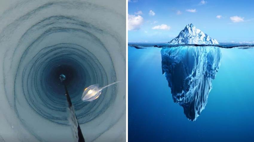 Científicos encontraron una criatura misteriosa en la Antártida: cambia todo lo que sabemos