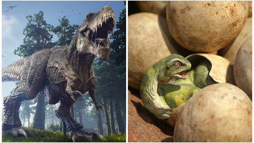 Los dinosaurios también vivían en el Ártico y hasta tenían guarderías, según un nuevo estudio