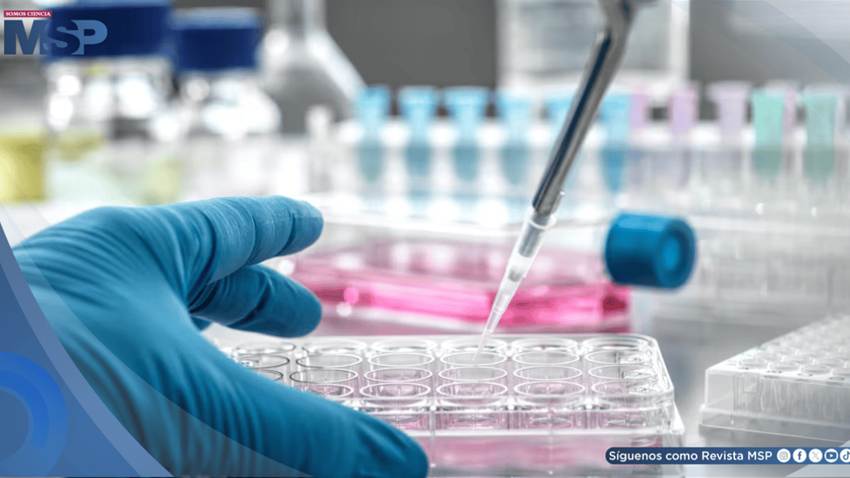 FDA aprueba el regreso de Blenrep: reduciría 51 % del riesgo de muerte en mieloma múltiple