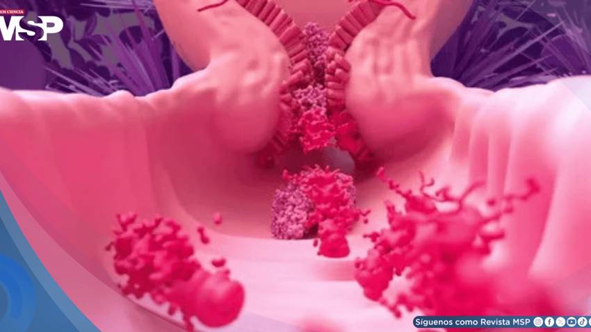 ¿Sangrado abundante durante su menstruación? Podría tratarse de una coagulopatía