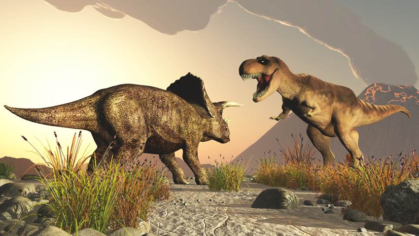 Ya podemos saber cómo se veían un T-Rex y un Triceratops peleando gracias a un fósil intacto