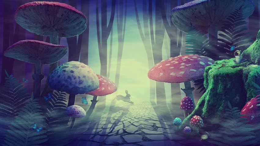 15 hongos tan extraños que parecen sacados de una película de terror