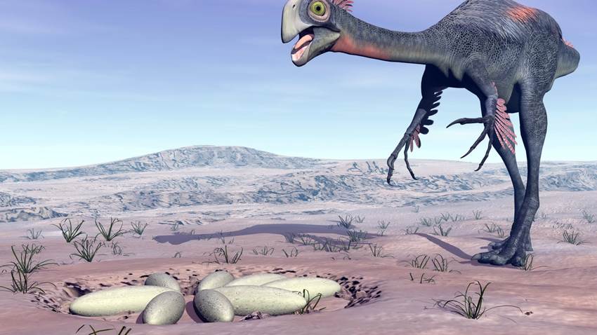 Científicos descubrieron la primera pluma fosilizada: no adivinarás a qué dinosaurio pertenece