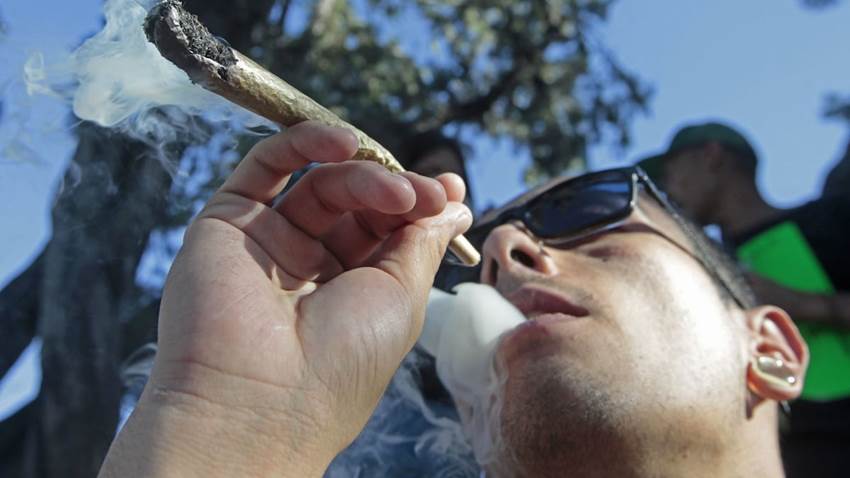 Zonas de tolerancia cannabica: los nuevos puntos seguros para el consumo de marihuana en Ciudad de México y sus reglas