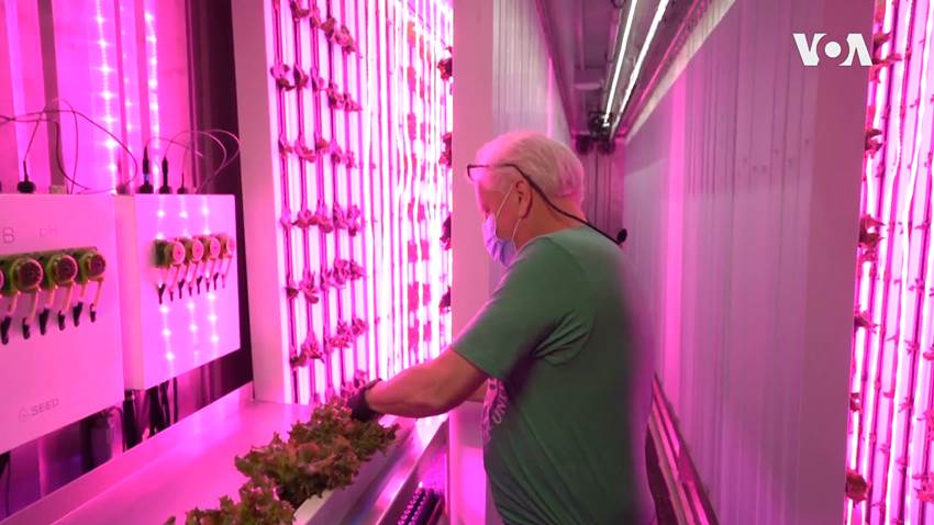 Nuevo tipo de agricultura, granja de alta tecnología en Nueva Jersey