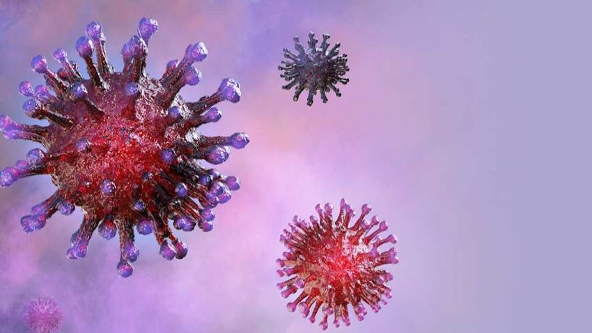 Conozca siete aspectos de los virus que mejoran la vida