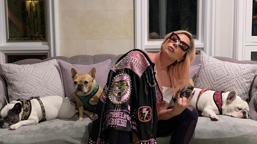 Paseador de perros de Lady Gaga sale del hospital tras ser herido en el robo