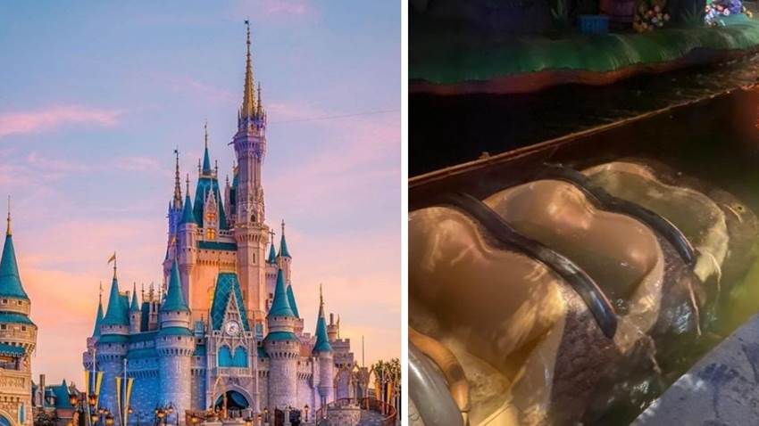 Una atracción clásica de Disney falló: desafió cualquier protocolo esperado y tenemos la historia