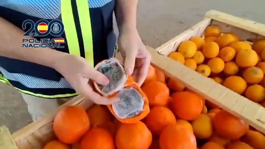 Operación ‘Zidanne’: hallan 1.600 kilos de hachís disfrazado de naranjas