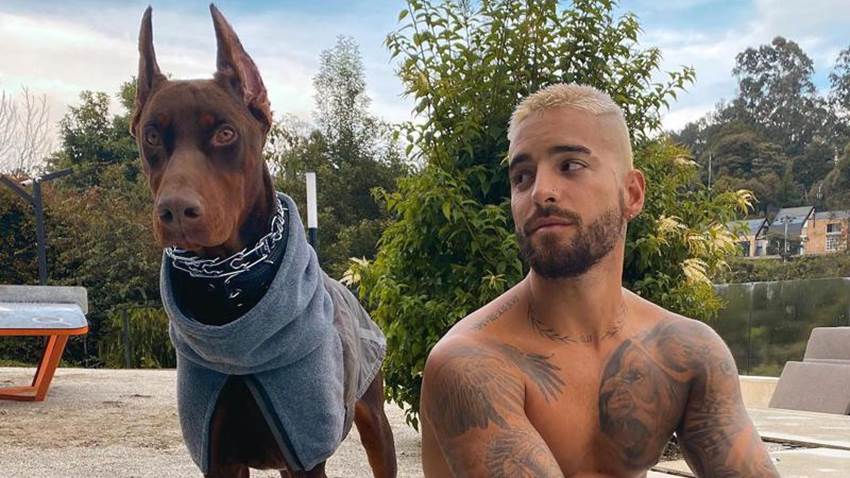 Maluma sufre ataque de su perro y quedó con heridas en la cara: ‘Hay que tener mucho cuidado’