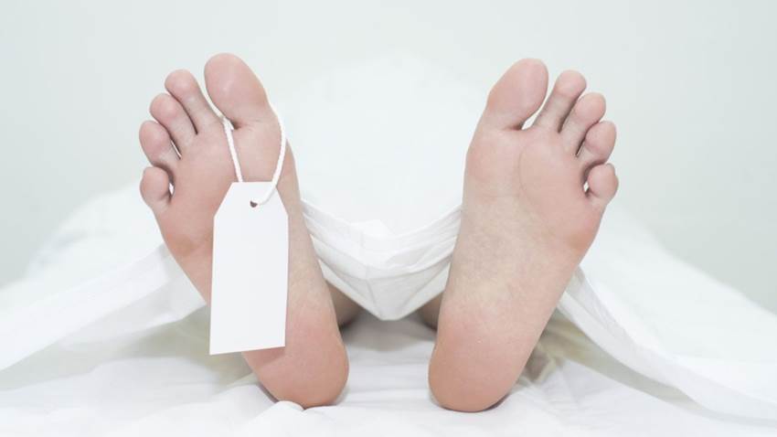 ¿Conoces las granjas de cuerpos humanos? Son aterradoras, pero ayudan a la ciencia