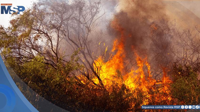 Incendios forestales y sequía elevan el riesgo respiratorio para personas con asma en Puerto Rico