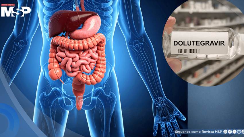 Fármaco contra el VIH repararía el intestino dañado en fases avanzadas de la enfermedad