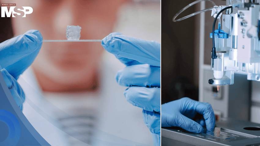 Científicos logran imprimir vasos sanguíneos en 3D que imitan la circulación real