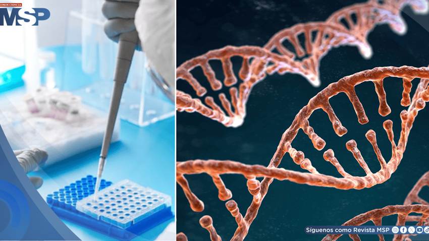 Así están cambiando los ensayos clínicos contra el cáncer:Menos pruebas en pacientes y resultados rápidos