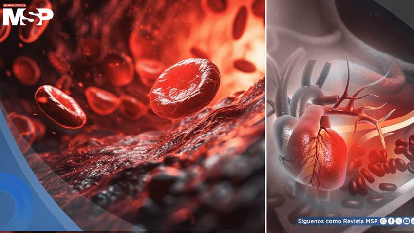 Investigadores descubren que esta proteína podría provocar arritmias mortales tras un infarto