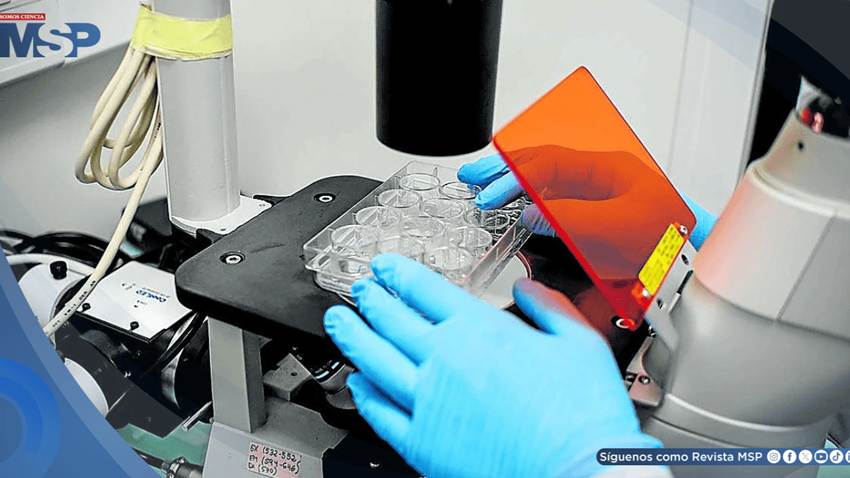 Vacuna experimental logra activar el sistema inmune contra el cáncer en pacientes con síndrome de Lynch