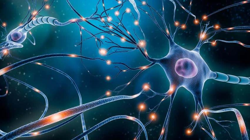 La actividad física ligera está relacionada con un menor riesgo de demencia, según estudio
