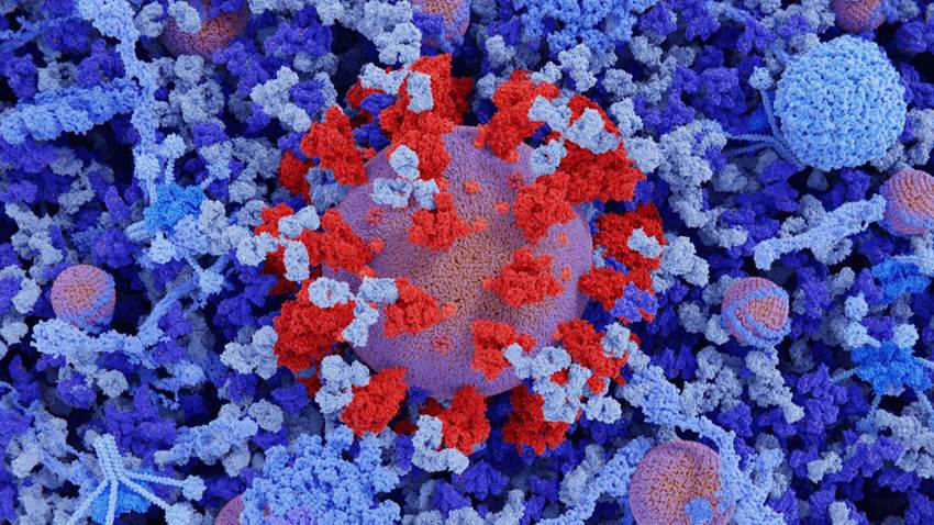 COVID-19: Niveles de ferritina podrían predecir la respuesta a los corticoides