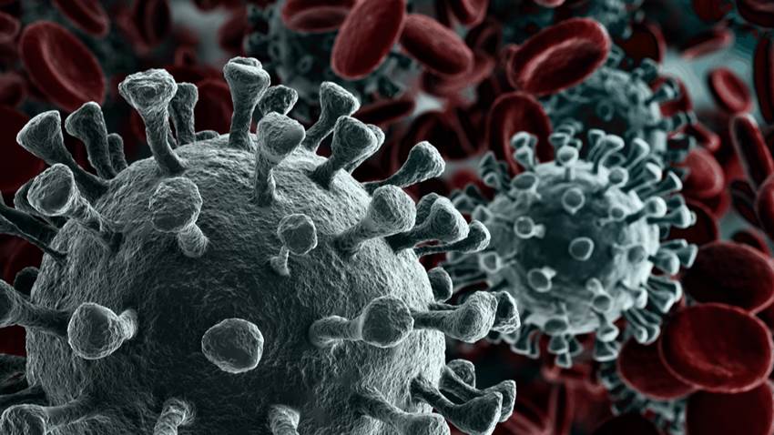 Estudio del Recinto de Ciencias Médicas revela por primera vez la respuesta inmune al Covid-19 en la Isla