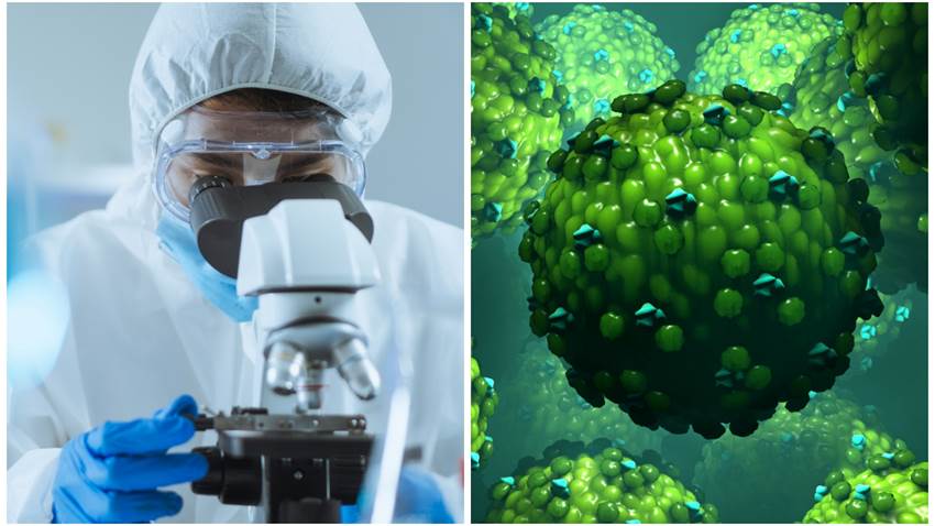¿El virus Nipah provocará la siguiente pandemia? Esto dicen los expertos