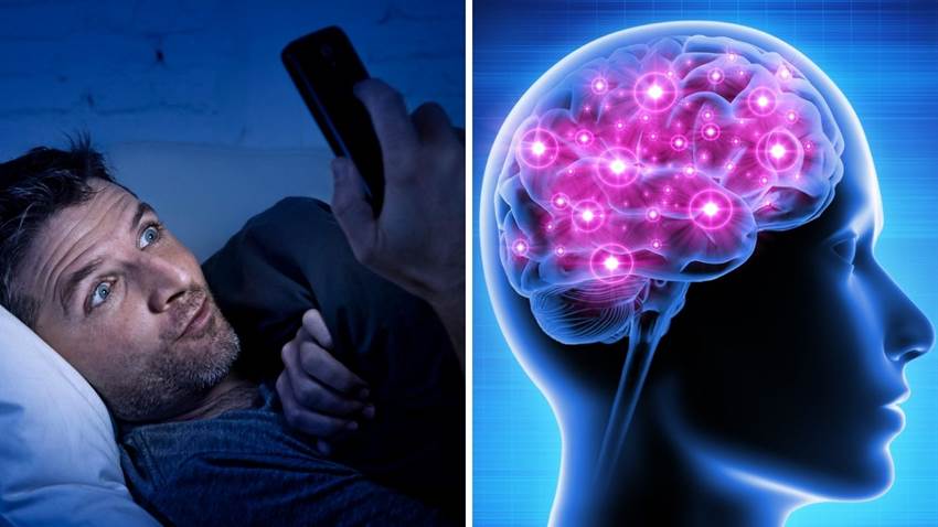 Ver mucho 'nopor' podría encoger tu cerebro (la ciencia te lo advierte)