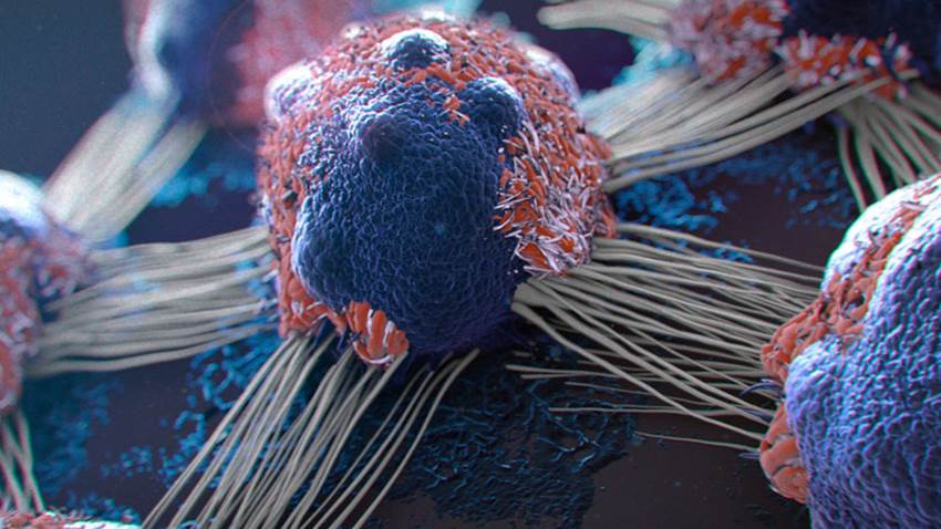 VPH: un virus capaz de engañar al sistema inmune