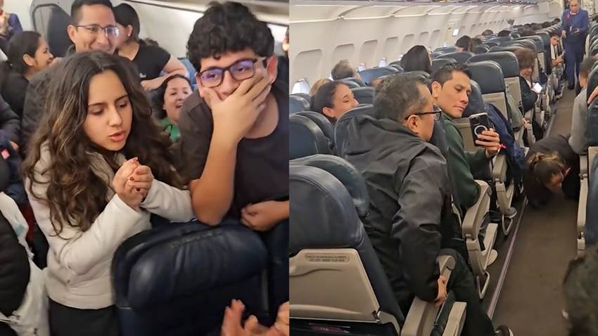 El escape de un hámster a bordo de un vuelo de Latam causa caos en un vuelo en Perú